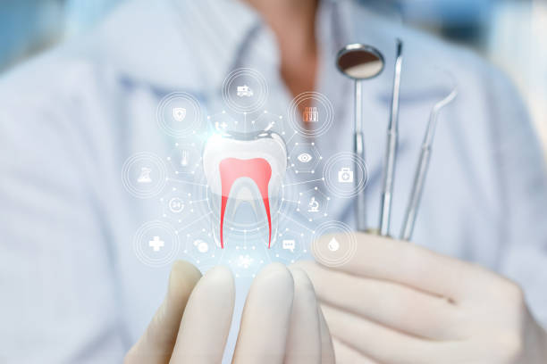 Best Emergency Dental Care  in Serenada, TX